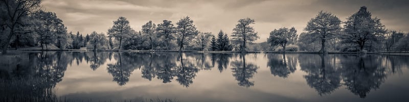 Play with Reflections